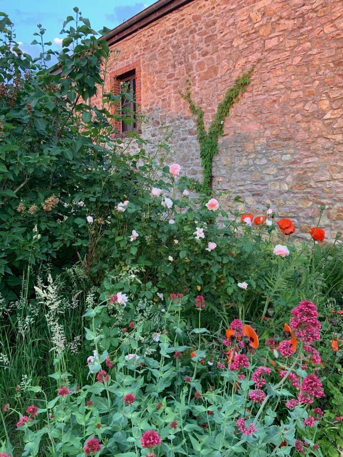 Holiday home Banet-sart A Daverdisse